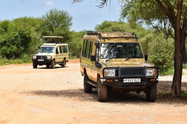 Safanna üzerinde araba ile safari yapmak. Afrika 'daki parkta bir cip gezisi. Macera turistleri vahşi doğada