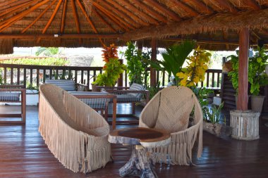 Tropikal bir sahilde dinlenme yeri. resim gibi egzotik bir manzara. Sahilde palmiye ağaçları