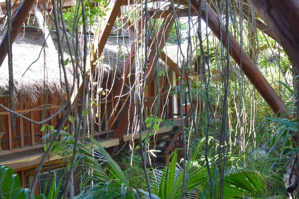 Rustplaats Tropisch Strand Pittoresk Exotisch Landschap Palmbomen Aan Kust Een — Stockfoto