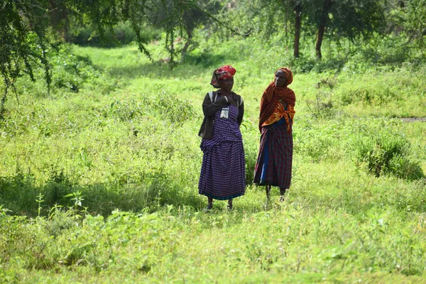 Orang Masai Afrika Penduduk Asli Afrika Luar Kehidupan Biasa Orang — Stok Foto