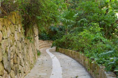 Dağlardaki tropikal parktaki taş yol. resim gibi doğal yeşil manzara.