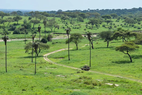 サファナの車でジープサファリ アフリカの公園でジープクルーズ 野生のアドベンチャー観光集会 — ストック写真
