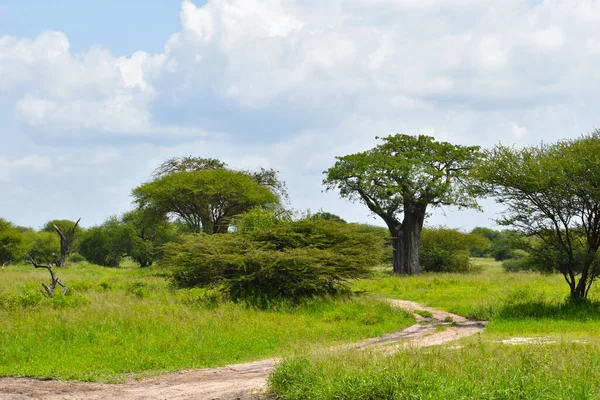 サファナの車でジープサファリ アフリカの公園でジープクルーズ 野生のアドベンチャー観光集会 — ストック写真