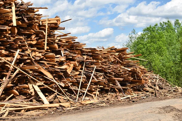 Багато Дерев Вирубано Зовні Незаконне Лісозаготівля Продаж Деревини Розпиляні Дерева — стокове фото