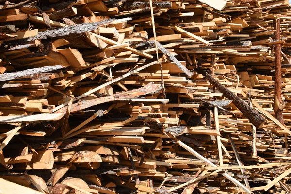 Sok Fát Kivágtak Odakint Illegális Fakitermelés Értékesítés Fűrészelt Fák Természetben — Stock Fotó