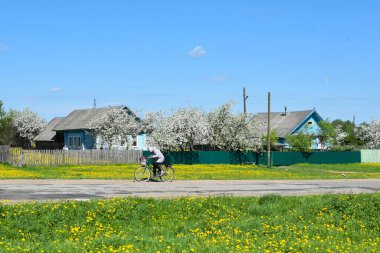 Yazın Rus köyü. Terk edilmiş evlerin önünde çiçeklerle dolu bir tarla. Doğal kırsal cennet