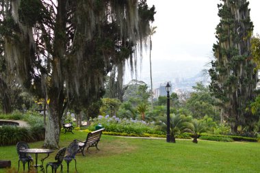 Yazın pitoresk bir park. Medellin, Kolombiya 'daki popüler halk parkı. Kasaba halkı için dinlenme yeri.