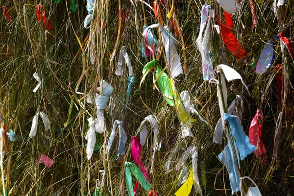 Ağaç dallarında rengarenk kurdeleler. Bitkilere ip bağlama geleneği. Kurdele düğümü için bir dilek tut. Ulusal Geleneksel Gençlik 