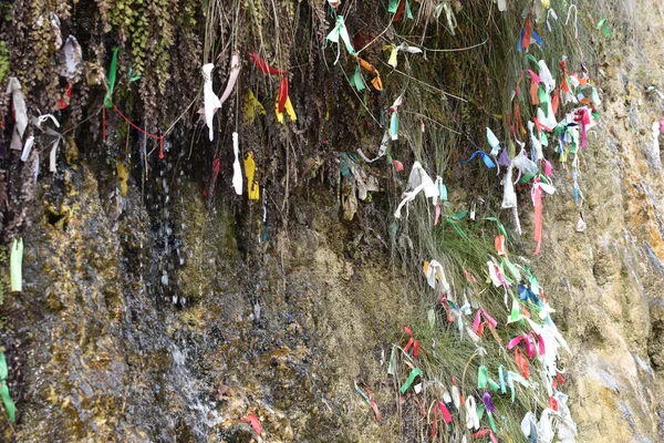 Ağaç Dallarında Rengarenk Kurdeleler Bitkilere Bağlama Geleneği Kurdele Düğümü Için — Stok fotoğraf