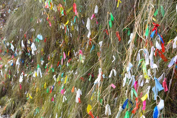 Ağaç dallarında rengarenk kurdeleler. Bitkilere ip bağlama geleneği. Kurdele düğümü için bir dilek tut. Ulusal gelenek