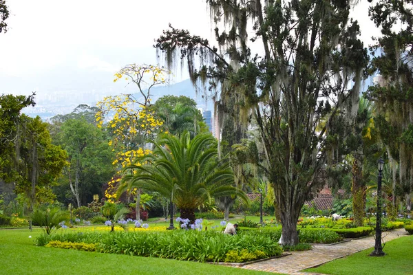 Yazın pitoresk bir park. Medellin, Kolombiya 'daki popüler halk parkı. Kasaba halkı için dinlenme yeri.