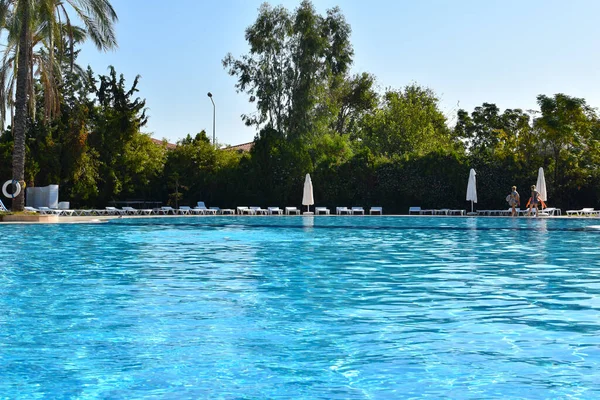 expensive luxury hotel with a pool under the palm trees. sunset in a luxury hotel in the tropics