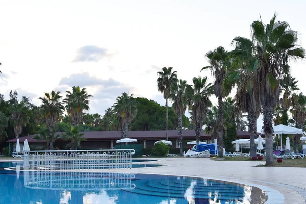 Expensive Luxury Hotel Pool Palm Trees Sunset Luxury Hotel Tropics — стокове фото