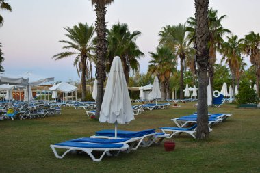 rows of sunbeds on the beach without people in the early morning.