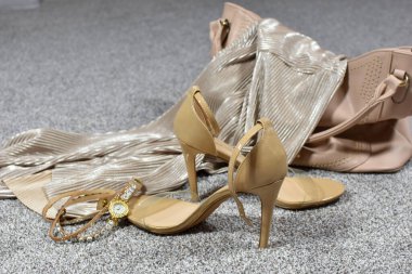 stylish women's shoes and a bag of the same color. beige clothing accessories