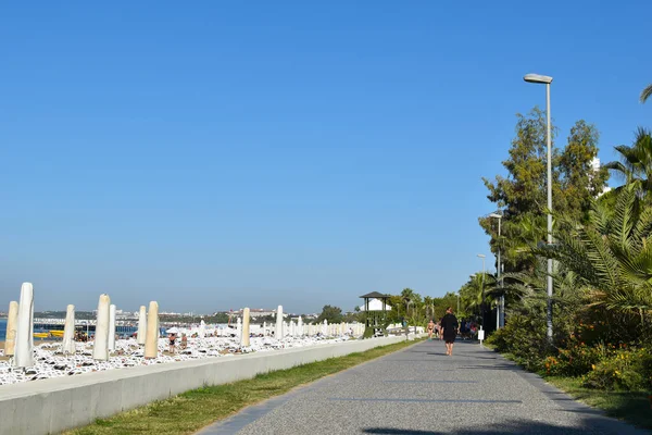 Road Walking Park Sea Stone Path Promenade Green Park — 图库照片