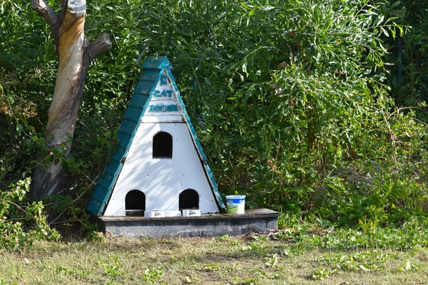 Casa Madera Para Gatos Callejeros Sin Hogar Cuidando Gatos Callejeros —  Fotos de Stock