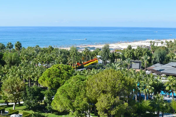 green park for walking on the seashore. beautiful natural landscape with palm trees