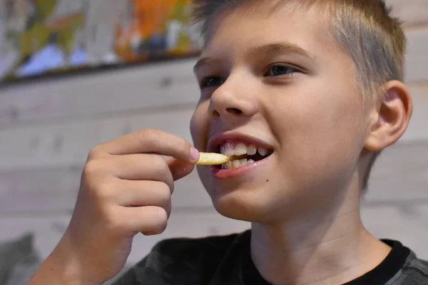 Boy Eating Delicious Fast Food Hamburger Fries Stock Obrázky