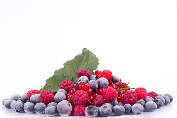 Fresh berries — Stock Photo, Image