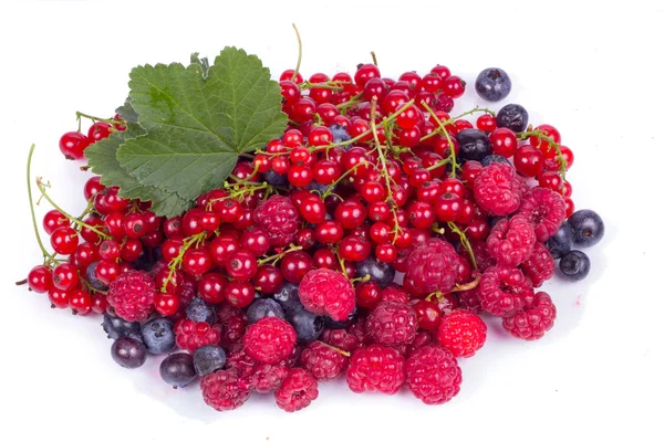 Frische Beeren — Stockfoto