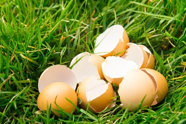 Разбитые яйца в траве — стоковое фото