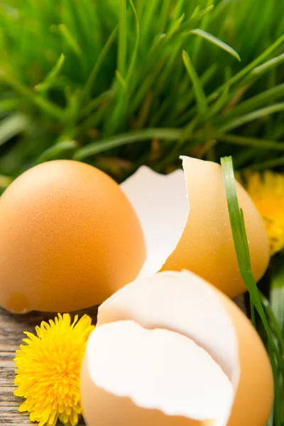 Broken eggs in grass — Stock Photo, Image