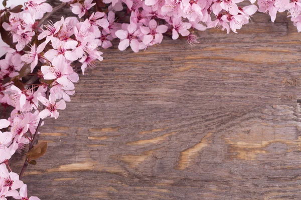 ahşap arka plan bahar çiçek