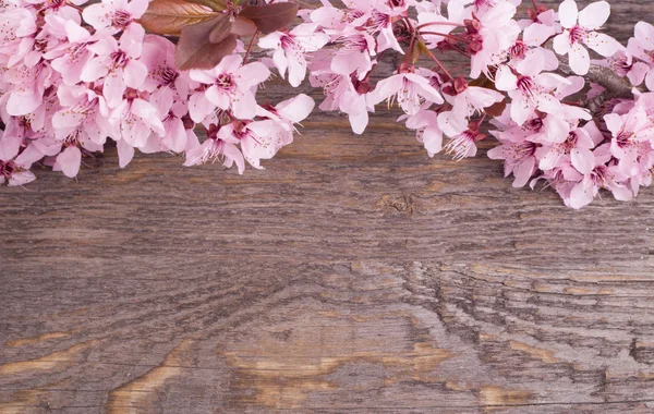 ahşap arka plan bahar çiçek