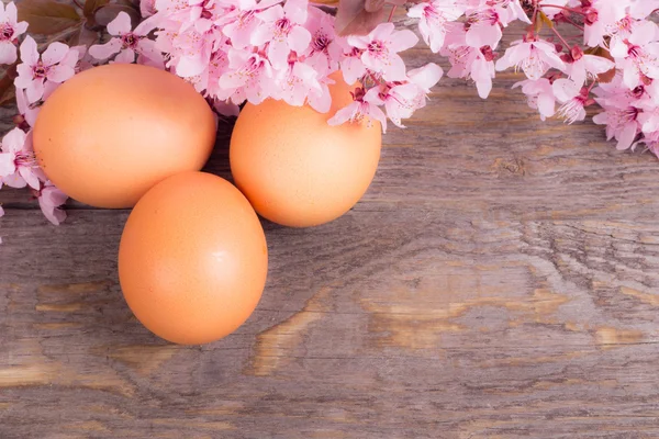 Eggs with spring flower on wooden background — Stock Photo, Image