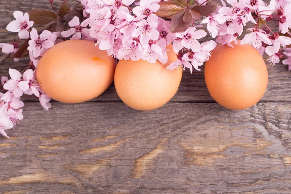 Telur dengan bunga musim semi dengan latar belakang kayu — Stok Foto