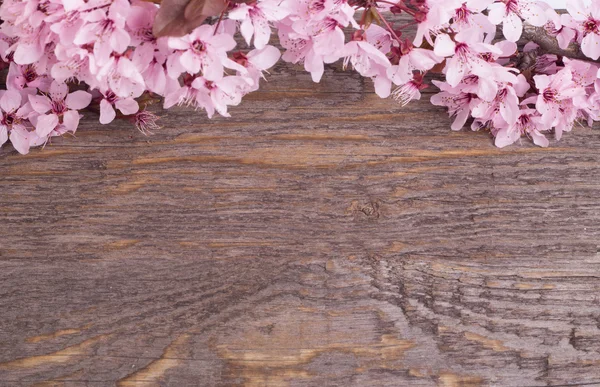 Wiosna kwiatów na drewniane tła Zdjęcie Stockowe