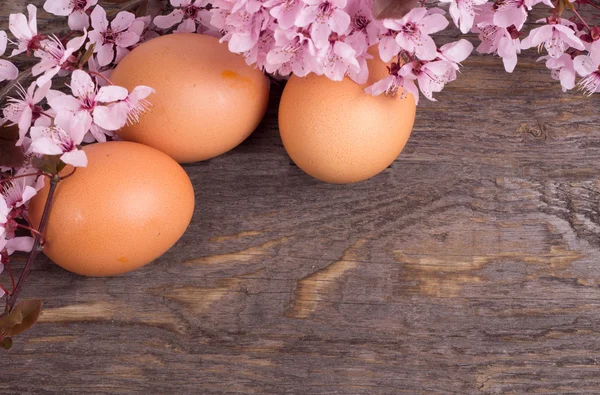 Eier mit Frühlingsblume auf Holzgrund lizenzfreie Stockbilder