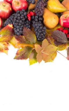 renkli sonbahar meyve