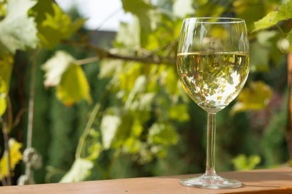 Çift kadehlerin ve üzüm demet