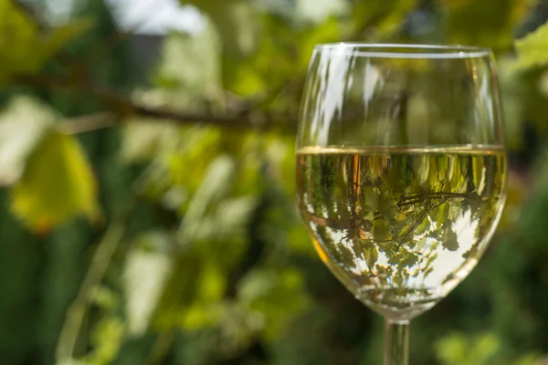 Paar wijnglazen en tros druiven — Stockfoto