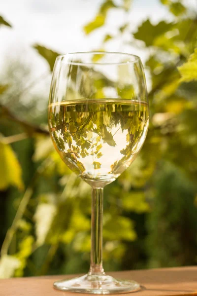 Paar wijnglazen en tros druiven — Stockfoto