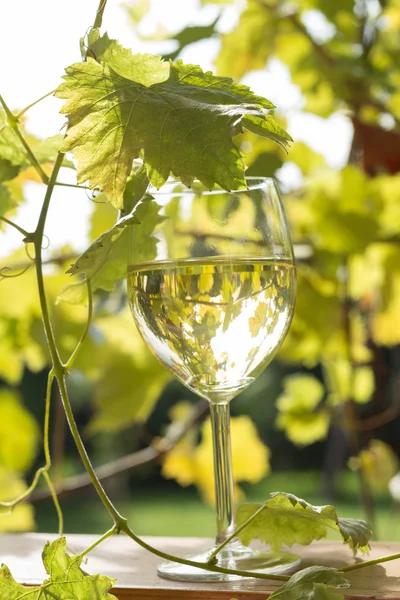 Çift kadehlerin ve üzüm demet