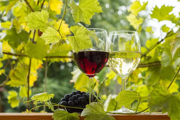 Çift kadehlerin ve üzüm demet
