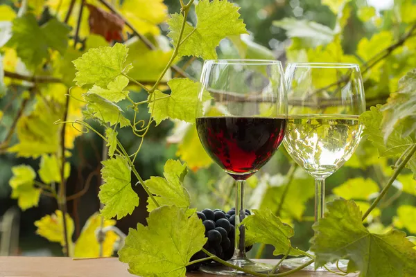 Çift kadehlerin ve üzüm demet