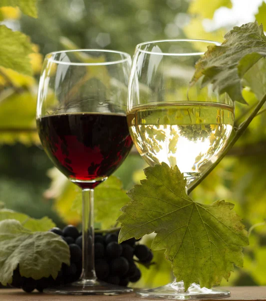 Çift kadehlerin ve üzüm demet