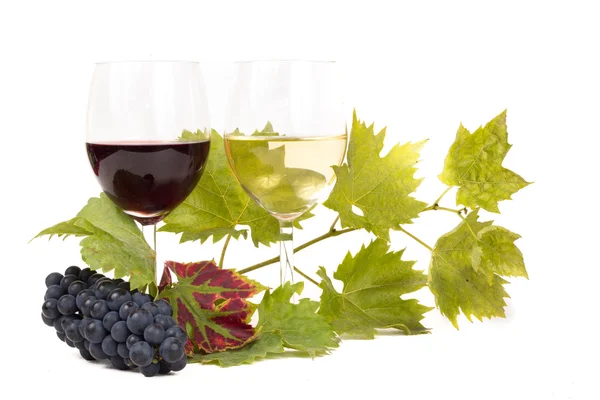 バレルのブドウとワインのグラス — ストック写真