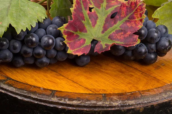 Vasos de vino y uvas, añada — Foto de Stock