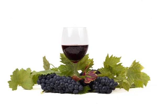 ワインとブドウのメガネ — ストック写真