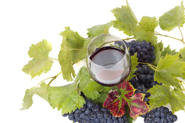 Glazen wijn en druiven — Stockfoto
