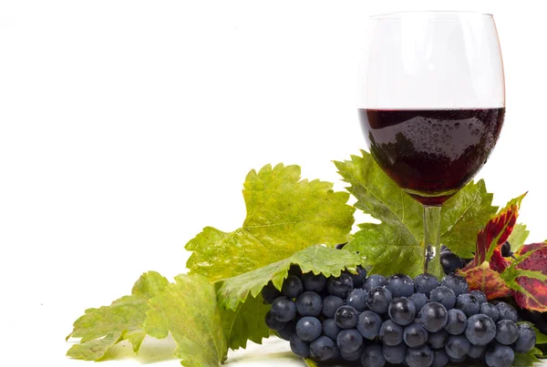 Glazen wijn en druiven — Stockfoto