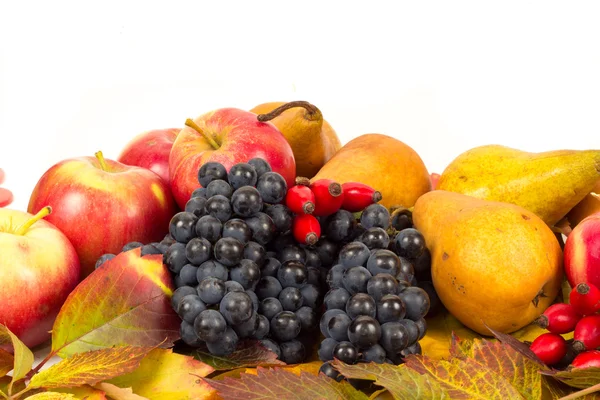 renkli sonbahar meyve