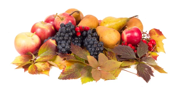 Coloridas frutas de otoño — Foto de Stock