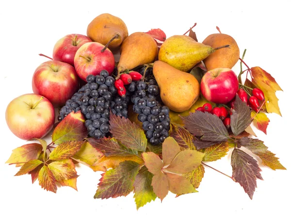 Colorful autumn fruits — Stock Photo, Image