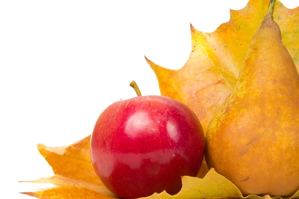 Barevné podzimní ovoce — Stock fotografie